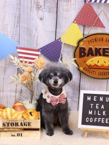 20240913ヒナちゃん